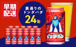 【ふるさと納税】クラフトビール 裏通りのドンダバダ 24本 G1011