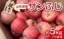 【ふるさと納税】【令和6年産先行予約】 〈訳あり品 家庭用〉 りんご 「サンふじ」 約5kg バラ詰め 《令和6年12月上旬〜令和7年2月下旬発