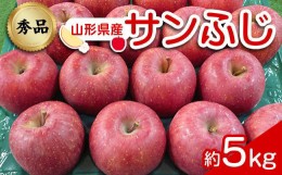 【ふるさと納税】【令和6年産先行予約】 りんご 「サンふじ」 約5kg (12〜23玉 秀品) 《令和6年12月上旬〜令和7年2月下旬発送》 『カネタ