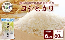 【ふるさと納税】【定期便6回】那賀町のお米 コシヒカリ10kg［徳島 那賀 国産 お米 こめ おこめ 米 10kg 10キロ 精米 ご飯 ごはん 白米 