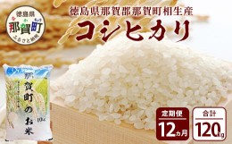 【ふるさと納税】【定期便12回】那賀町のお米 コシヒカリ10kg［徳島 那賀 国産 お米 こめ おこめ 米 10kg 10キロ 精米 ご飯 ごはん 白米 