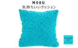 【ふるさと納税】MOGU 気持ちいいクッション Turquoise eyes（ターコイズアイズ） モグ パウダービーズ ビーズクッション モコモコ ムニ