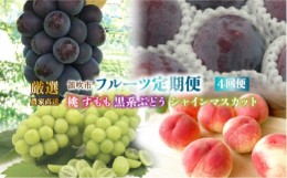 【ふるさと納税】＜2024年先行予約＞笛吹市産　厳選!農家直送「フルーツ定期便4回便」 205-012