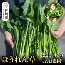 【ふるさと納税】ほうれん草 約1.8kg（150g x 12袋）【ハウス栽培 産地直送 クール便 佐賀県脊振山麓産】(H091114)