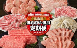 【ふるさと納税】【全6回】「肉のヨコムラ」鹿児島県産 黒毛和牛・黒豚 定期便（奇数月にお届け）　K189-T01