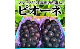 【ふるさと納税】＜2024年先行予約＞山梨県笛吹市産　旬の採れたてピオーネ　約1kg　2〜3房 105-014