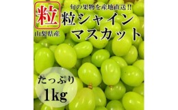 【ふるさと納税】山梨県山梨市産　シャインマスカット　粒　約1kg【1459681】