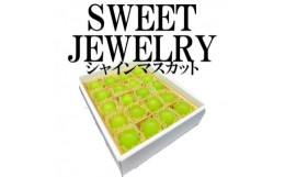 【ふるさと納税】山梨県山梨市産　シャインマスカット　〜SWEET JEWELRY〜　20粒【1459686】