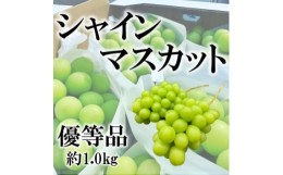 【ふるさと納税】山梨県山梨市産　旬の採れたてシャインマスカット　優等品　約1kg　2〜3房【1459692】