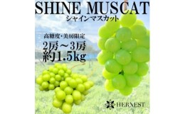 【ふるさと納税】山梨県山梨市産　旬の採れたてシャインマスカット　秀等品　約1.5kg　2〜3房【1459719】