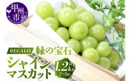 【ふるさと納税】頬張る幸福感 〜緑の宝石・シャインマスカット〜1.2kg以上(2〜3房)（RG）B-843 【山梨県 シャインマスカット フルーツ 