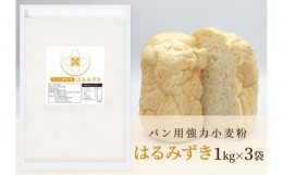 【ふるさと納税】パン用 強力小麦粉「はるみずき」1kg×3袋