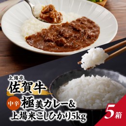 【ふるさと納税】上場米こしひかり5kg・極美カレー5箱セット