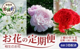 【ふるさと納税】【お花の定期便】3回配送 那賀町産 けいとう・アリウムコワニー・しゃくやく【相生の花】生花 お花 花束 生け花 華道 ケ