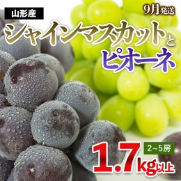 【ふるさと納税】やまがたのぶどう シャインマスカット＆ピオーネ 秀品 約1.7kg(2〜5房程度) [9月発送] 【令和6年産先行予約】FS23-752