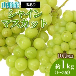 【ふるさと納税】[訳あり]やまがたのぶどう シャインマスカット 10月 優品 約1kg(1〜3房程度) 【令和6年産先行予約】FS23-819