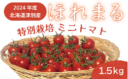 【ふるさと納税】R6年産　特別栽培　ミニトマト　ほれまる　1.5kg　細川農園/010-24300-b01A