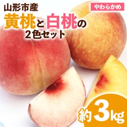 【ふるさと納税】山形市産 黄桃と白桃の2色セット 秀 3kg 【令和6年産先行予約】FS23-822