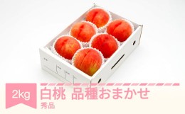 【ふるさと納税】白桃 秀品 品種おまかせ 化粧箱入り 約2kg 令和六年産 2024年産 山形県産 果物 送料無料 ns-mohtx2