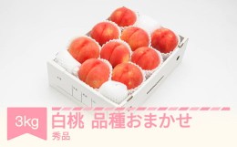 【ふるさと納税】白桃 秀品 品種おまかせ 化粧箱入り 約3kg 令和六年産 2024年産 山形県産 果物 送料無料 ns-mohtx3