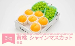 【ふるさと納税】有袋黄桃 秀品＆シャインマスカット 品種おまかせ 詰め合わせ 約3kg 令和六年産 2024年産 果物 送料無料 ns-fsosx3