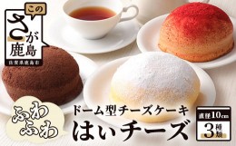 【ふるさと納税】ふわふわのドーム型ケーキ「はいチーズ」3種セット クリスマスケーキ チーズケーキ お祝い パーティ 年始 年賀 大晦日 