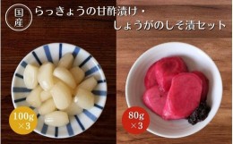 【ふるさと納税】らっきょうの甘酢漬け100g×3・しょうがのしそ漬80g×3セット / 無添加 漬物 ごはんのおとも 惣菜 和歌山 田辺市