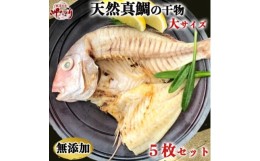 【ふるさと納税】岬だよりの＜人気沸騰中＞天然真鯛の干物　大サイズ5枚セット