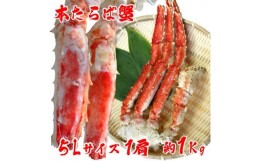 【ふるさと納税】＜ 極太 5L サイズ ＞ 本タラバガニ 切足 1肩 1Kg　-食通のあなたに- ボイル済【1462935】