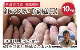 【ふるさと納税】【2024年先行予約】 新潟県 加茂市産 紅はるか 【家庭用】 10kg 《11月上旬以降発送》 人気 さつまいも 訳あり 家庭用 