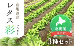 【ふるさと納税】【先行予約】レタス彩（いろどり）3種セット 【 ふるさと納税 人気 おすすめ ランキング レタス れたす 野菜 葉野菜 北