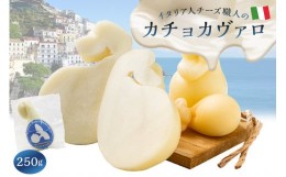 【ふるさと納税】カチョカヴァロ Caciocavallo 250g