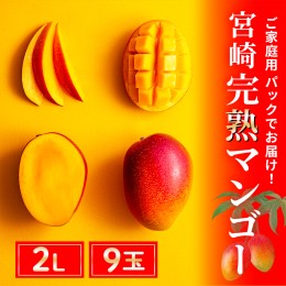 【ふるさと納税】完熟 マンゴー 2L 9玉 約3kg 濃厚 宮崎 高級 果物 フルーツ 贈答 ギフト 甘い 送料無料 先行受付（14-70）