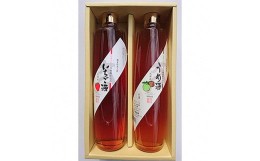 【ふるさと納税】水上村 大石酒造の リキュール 2本セット 各500ml