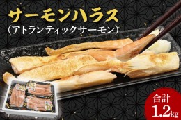 【ふるさと納税】サーモン ハラス 1.2kg(200ｇ×6p) アトランティックサーモン 鮭 鮭はらす 大洗町 大洗 魚 さかな 魚介類 冷凍 工場直送