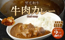 【ふるさと納税】黒毛和牛 牛肉カレー (250g×8パック) 計2kg