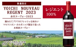 【ふるさと納税】【数量限定】ヨイチヌーヴォー レジェント 2023＜キャメルファーム＞　余市 北海道 ワイン 赤ワイン ヌーヴォー ヌーボ 