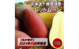 【ふるさと納税】十勝豊頃産ジャガイモ 10kg（レッドムーン）【2024年秋出荷（先行受付）［松崎農場］