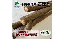 【ふるさと納税】十勝豊頃産 ごぼう約10kg【2024年秋出荷】（先行受付）【工房みみずく】