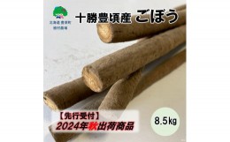 【ふるさと納税】十勝豊頃産 ごぼう8.5kg【2024年秋出荷（先行受付）】【植村農場】