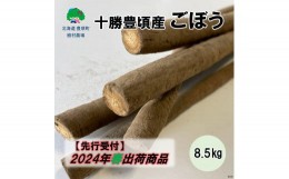 【ふるさと納税】十勝豊頃産 ごぼう 8.5kg【2024年春出荷（先行受付）】【植村農場】