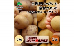 【ふるさと納税】十勝野じゃがいも詰合せセット10kg（きたあかり・メークイン）【2024年秋出荷】（先行受付）［按田農場］