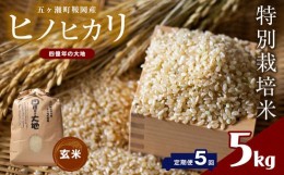 【ふるさと納税】【5回定期】 特別栽培米 四億年の大地米（ヒノヒカリ玄米） 5kg×5回