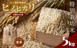 【ふるさと納税】特別栽培米  四億年の大地（ヒノヒカリ玄米） 5kg