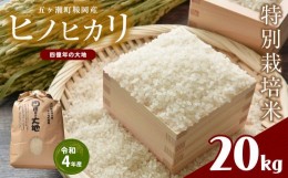 【ふるさと納税】特別栽培米  四億年の大地（令和4年産ヒノヒカリ） 20kg