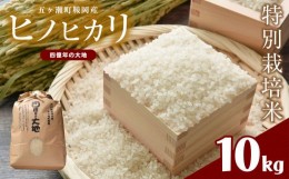 【ふるさと納税】特別栽培米  四億年の大地（ヒノヒカリ） 10kg