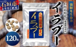 【ふるさと納税】石垣島産「イラブー(海ヘビ)」粉末 120粒入り袋　健康補助食品・約1ヶ月分【 海へび 海蛇 栄養補助食品 サプリメント サ