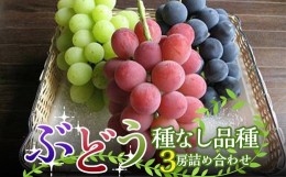 【ふるさと納税】【令和6年産先行予約】 高級ぶどう 種なし品種 3房詰合せ 《令和6年9月中旬〜発送》 『漆山果樹園』 山形県 南陽市 [152