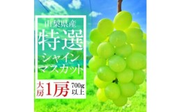 【ふるさと納税】山梨県山梨市産　特選　旬の採れたてシャインマスカット　1房　(700g以上)【1134844】