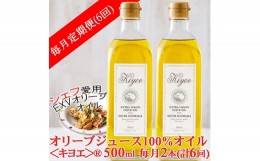 【ふるさと納税】＜毎月定期便＞エキストラバージン オリーブオイル・キヨエ 500ml×2本全6回【4005671】